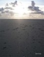 /album/la-mer-du-nord/coucher-de-soleil-touquet-jpg/